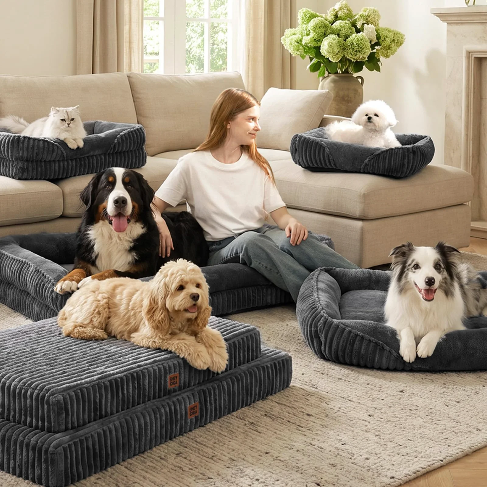 EHEYCIGA deluxe sofa beds in a living room, with their dogs.
