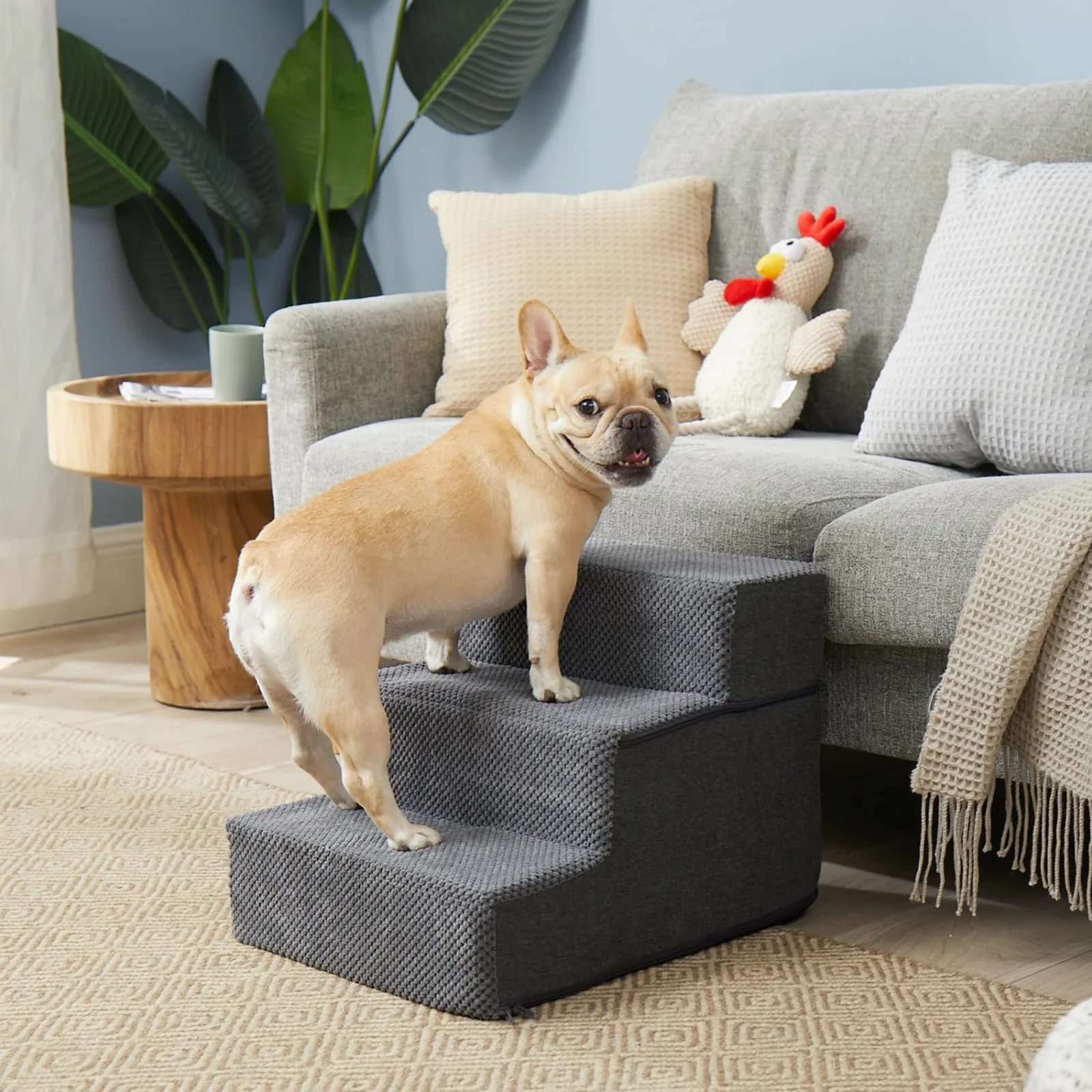 A French bulldog on EHEYCIGA foam dog stairs set on a rug against the sofa.